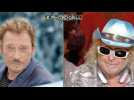 Michel Polnareff se confie sur son amitié avec Johnny Hallyday