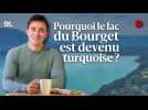 Une eau turquoise au lac du Bourget : quel est ce phénomène naturel qui se produit une fois par an ?