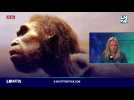 Les Mystères de Faraon - Sable, Homo Erectus et barriles... Tout une histoire