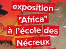 Un voyage en Afrique pour les enfants de l'école de Sinceny