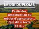 Environnement - Pesticides : la bataille tactique s'ouvre à l'Assemblée sur la loi Duplomb, sénateur de Haute-Loire