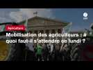 VIDEO. Mobilisation des agriculteurs : à quoi faut-il s'attendre ce lundi ?