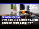 C'est quoi la « métatine », cette molécule qui rend encore plus accro que la nicotine ?