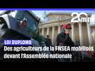 Loi Duplomb : Des agriculteurs de la FNSEA sont mobilisés devant l'Assemblée nationale