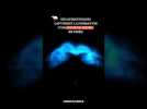 Des scientifiques ont filmé la formation d'un coeur ! #shorts