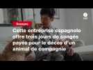 VIDEO. Cette entreprise espagnole offre trois jours de congés payés pour le décès d'un animal de compagnie