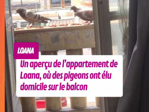 VIDEO : Un aperu de l?appartement de Loana, o des pigeons ont lu domicile sur le balcon