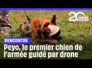 On a rencontré Peyo, le premier chien d'intervention guidé par drone de l'armée