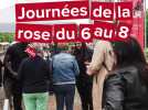 Journées de la rose 2025 au Domaine de Chaalis