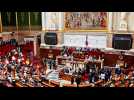 Dissolution : quel bilan à l'Assemblée un an après ?