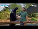 VIDÉO. Une soirée au Zoo de La Flèche avec des enfants handicapés