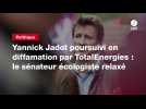 VIDEO. Yannick Jadot poursuivi en diffamation par TotalEnergies : le sénateur écologiste relaxé