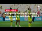 VIDÉO. Nantes - Angers : sur quelle chaîne et à quelle heure voir le match de Ligue 1 en direct ?