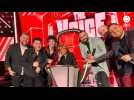 VIDÉO. Dans les coulisses du retour gagnant de la Bretonne Colette, 96 ans, à la finale de The Voice
