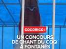 Cocorico : bienvenue au concours de chant du coq de Fontanès dans le Gard