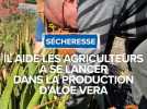 Il aide les agriculteurs à se lancer dans la production d'Aloe vera