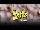 LES IMMANQUABLES CINÉMA 07 MAI 2025