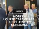 Mort de l'ourse Caramelles : un chasseur condamné à quatre mois de prison avec sursis pour avoir abattu l'animal