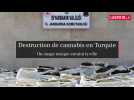 Destruction de cannabis en Turquie : un nuage toxique envahit la ville