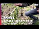 L'orage de grêle fait des dégats dans le vignoble champenois