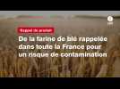 VIDEO. E. coli. De la farine de blé rappelée dans toute la France pour un risque de contamination
