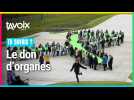 Le don d'organes vu par des collégiens de Bapaume