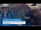 La foire aux bestiaux a animé le hameau de Beaudinard à Aubagne