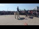 Le Touquet : un spectacle de dressage a été offert au public place du Centenaire.