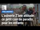 Le spot de la semaine : Z'âne attitude, à Frelinghien