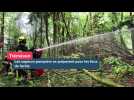 Feux de forêts : les sapeurs-pompiers de Quimperlé se préparent pour l'été
