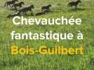A Bois-Guilbert près de Buchy, l'impressionnante mise au pré des poneys de la ferme équestre