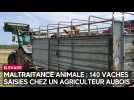 Maltraitance animale : 140 vaches saisies chez un agriculteur aubois