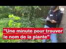 VIDÉO. Pas si facile de trouver le nom des végétaux, même quand on veut en faire son métier