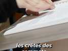 Un livre multisensoriel pour rendre la lecture accessible aux malvoyants