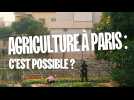 Planète C : l'agriculture au coeur de nos villes