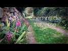 Chemins de traverse - Mai 2025