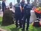 Cannes : Un palmier tombe sur la Croisette, blessant une personne