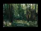 Trailer - La Danse des Renards