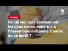 VIDEO. Fin de vie : que contiennent les deux textes débattus à l'Assemblée nationale à partir de ce lundi ?