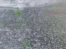 Orage