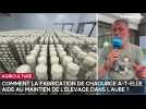 Comment la fabrication de chaource a-t-elle aidé au maintien de l'élevage dans l'Aube ?