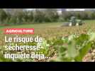 Somme : le manque de pluie inquiète déjà les agriculteurs