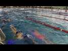Les finales régionales de natation ont rassemblé 300 nageurs dans cette ville du Pas-de-Calais