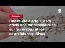 VIDEO. Une étude alerte sur les effets des microplastiques sur le cerveau et les capacités cognitives