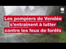Les pompiers de Vendée s'entraînent à lutter contre les feux de forêts