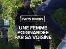 Une femme poignardée par sa voisine à Toulouse