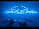 «Into the Light», l'expo qui allume les sens