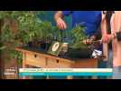 Local Génial - 13/05/2025 - Partie 1