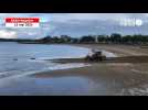 VIDÉO. À Saint-Nazaire, la grande plage se refait une beauté