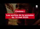 VIDEO. « Hurry up tomorrow » ; « Milli vanilli » Les sorties cinéma de la semaine de la gloire au cauchemar